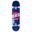 Skateboard Rad Logo Progressive 7.75"