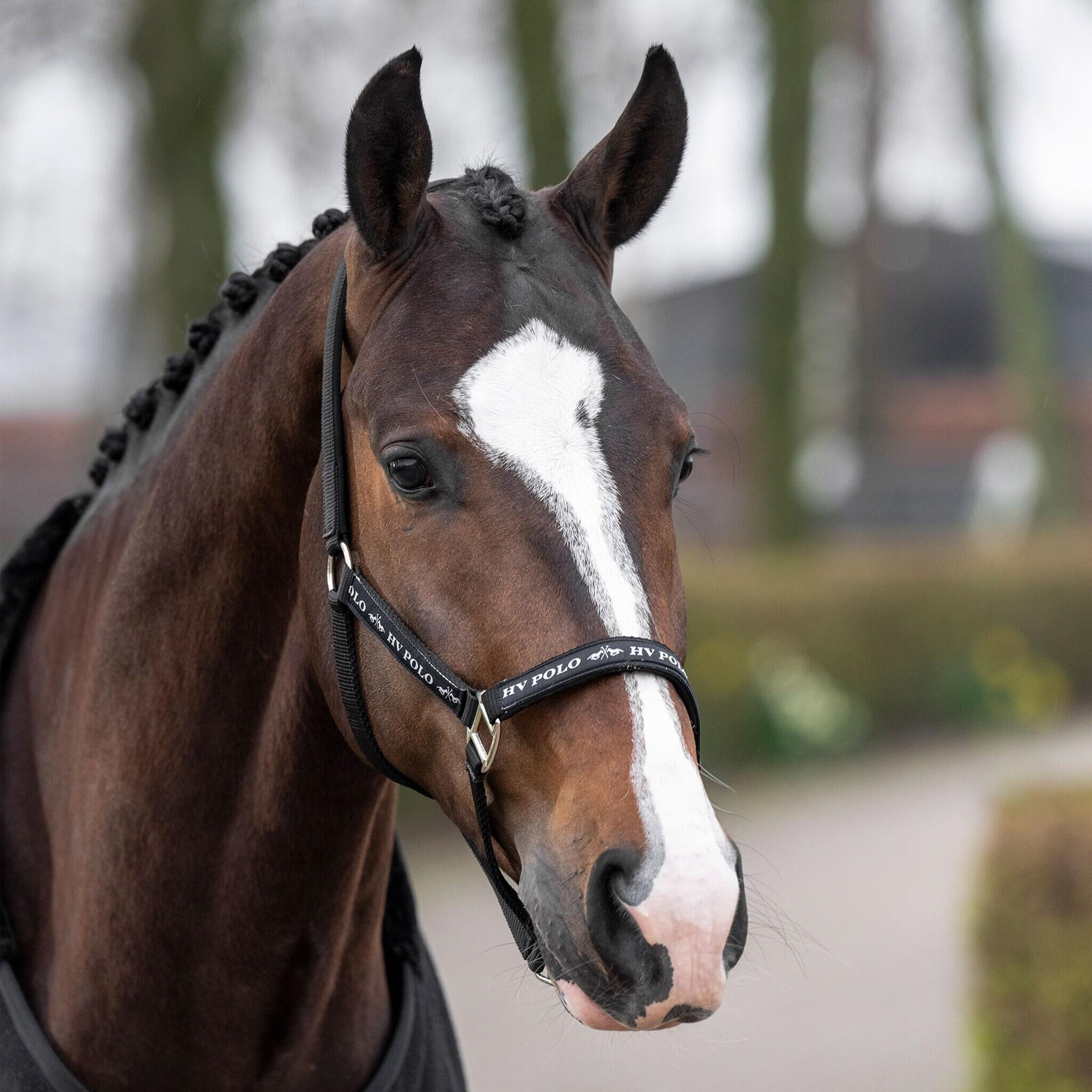 HV Polo Halster HVPNena - Zwart (Cob) (Cob) 3/5