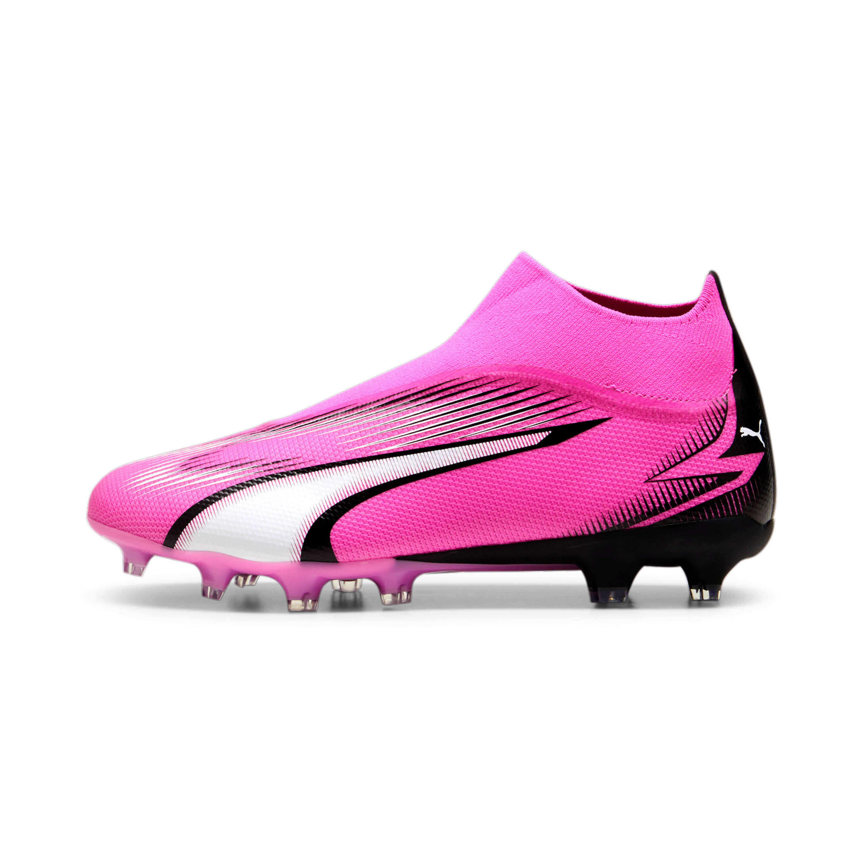 PUMA picture