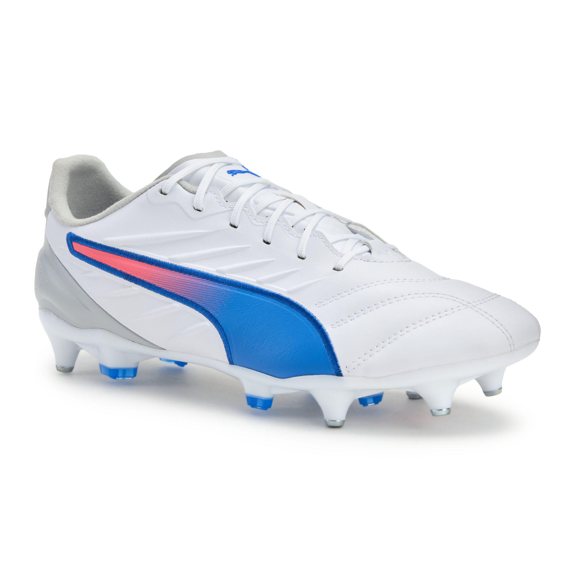 PUMA picture