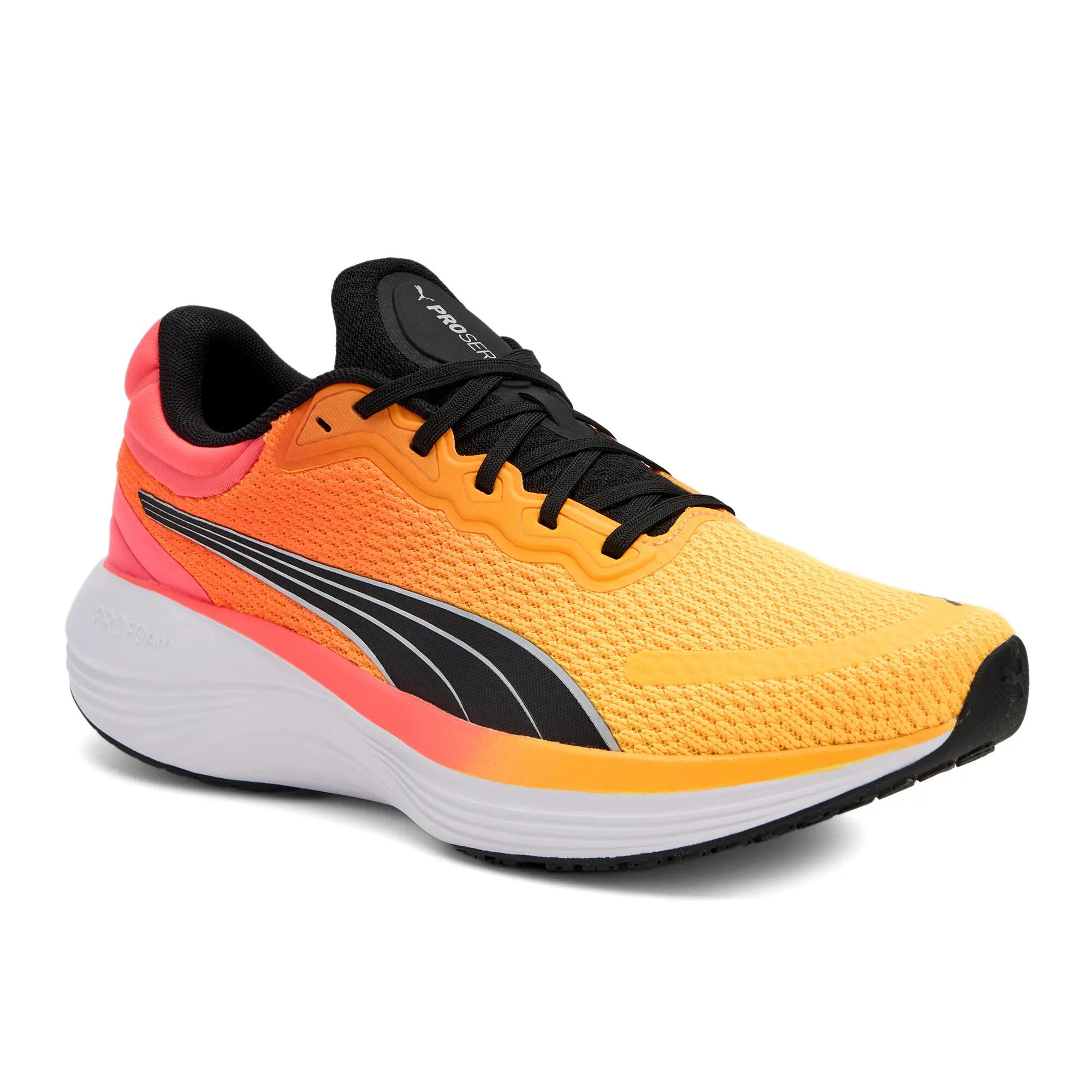 PUMA picture
