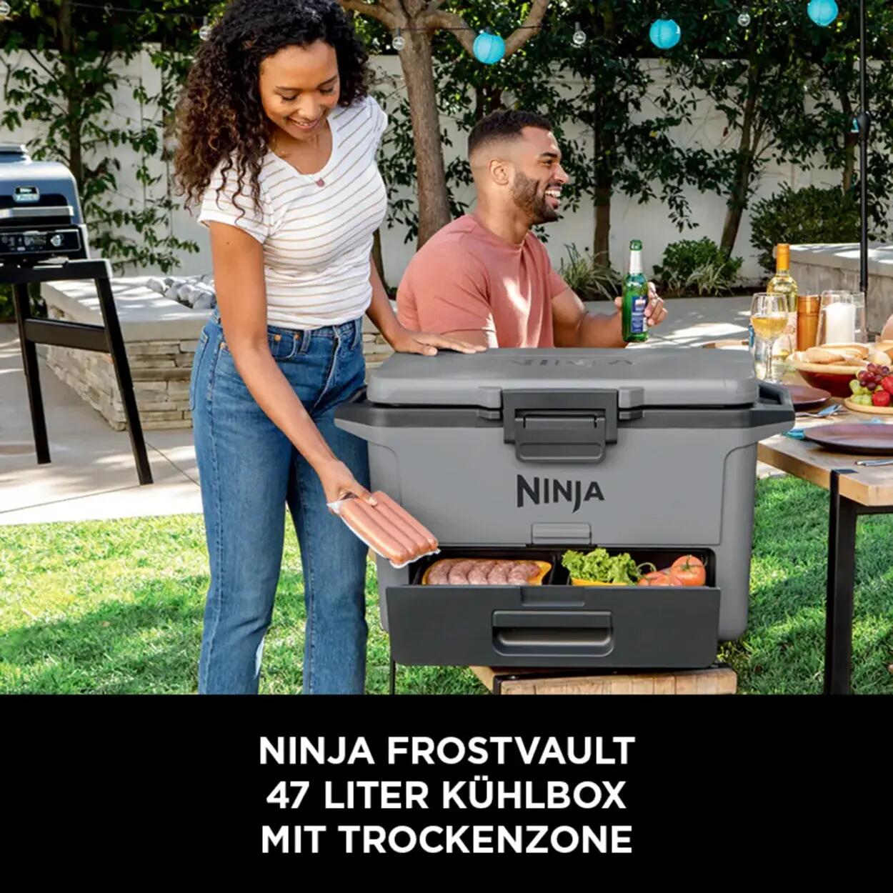 Ladă frigorifică FrostVault FB151, 47L, Gri, Ninja 3/7