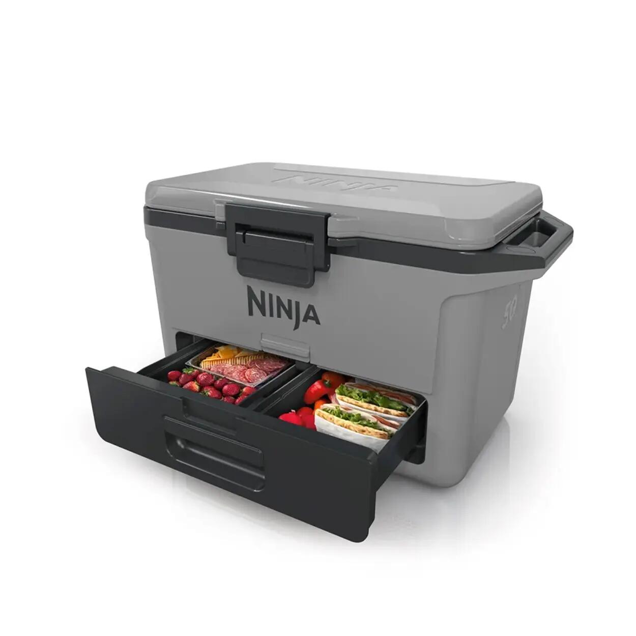 Ladă frigorifică FrostVault FB151, 47L, Gri, Ninja 2/7