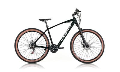 Bici elettrica a pedalata assistita Coppi York mtb uomo verde