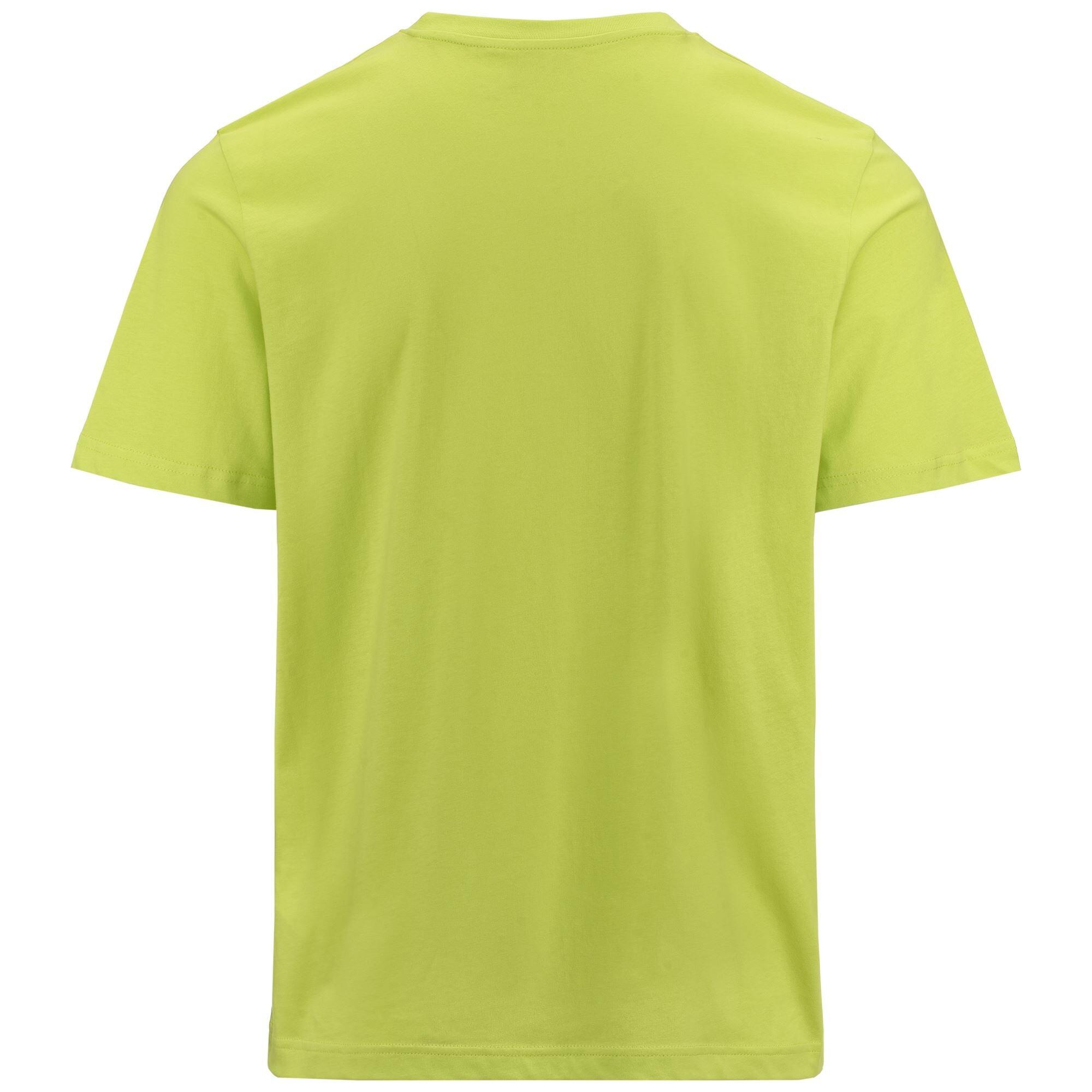 T shirt maglietta da uomo in cotone verde da palestra 3/7
