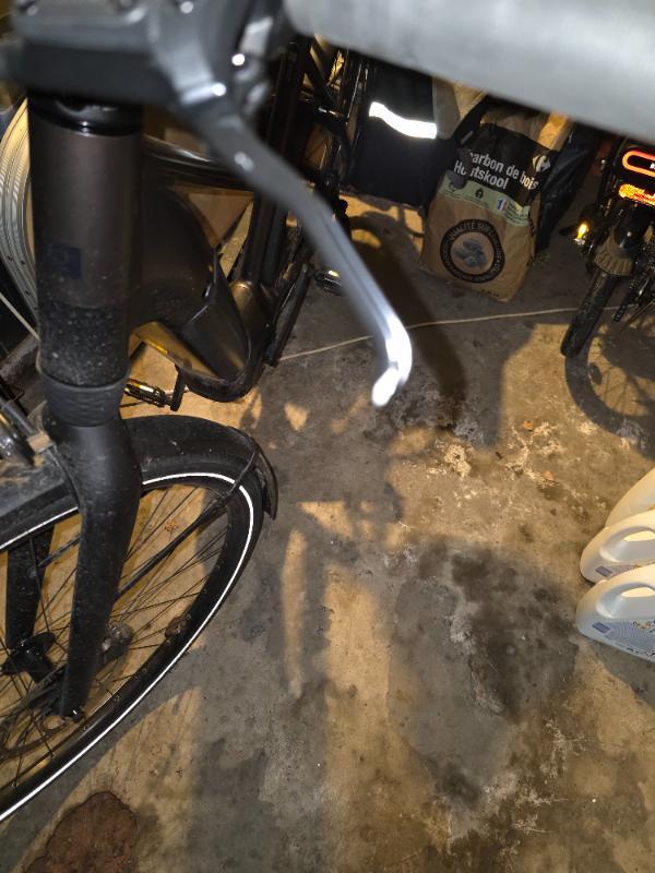 Tussen Particulieren - owuru elektrische stadsfiets met laag frame en zelfaandri 3/5