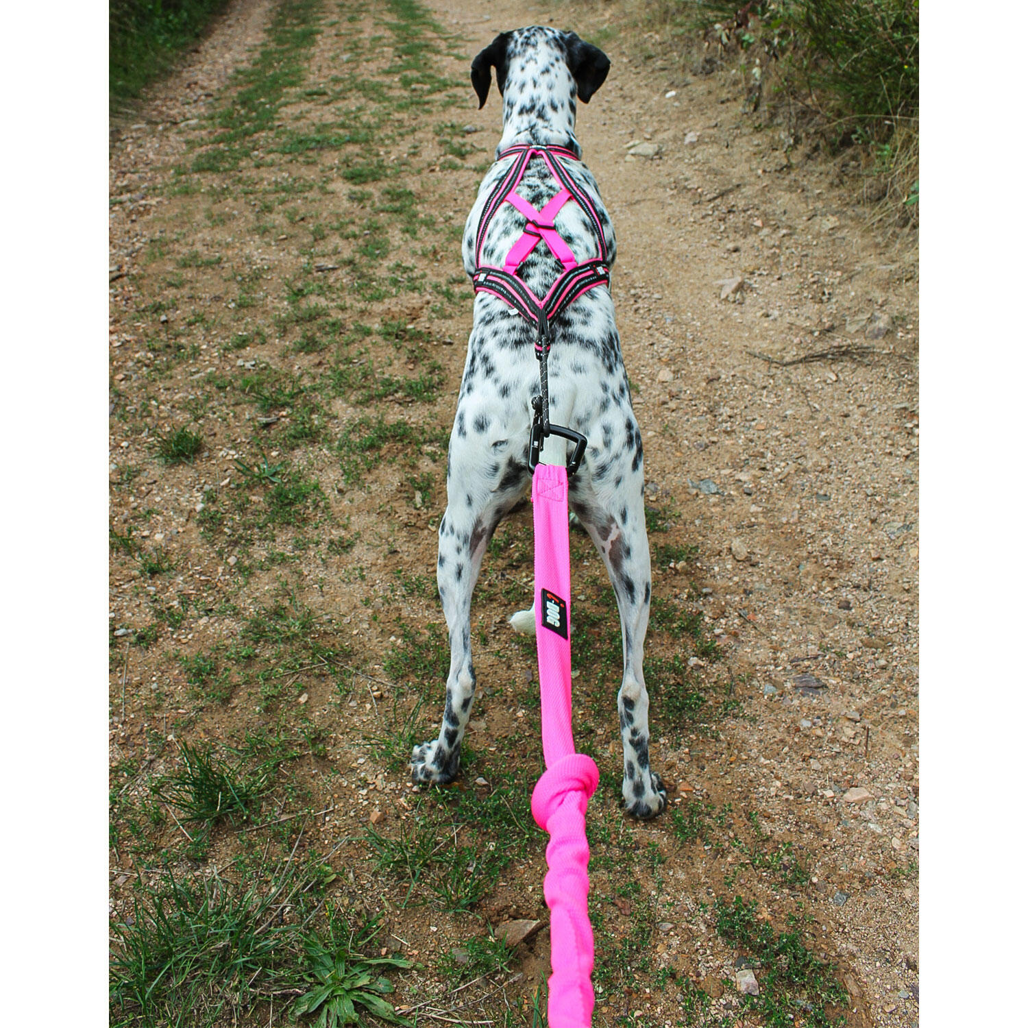 Guinzaglio Canicross ONE - Leggero Ed Elastico Per Corsa Con Cane - Foto 8