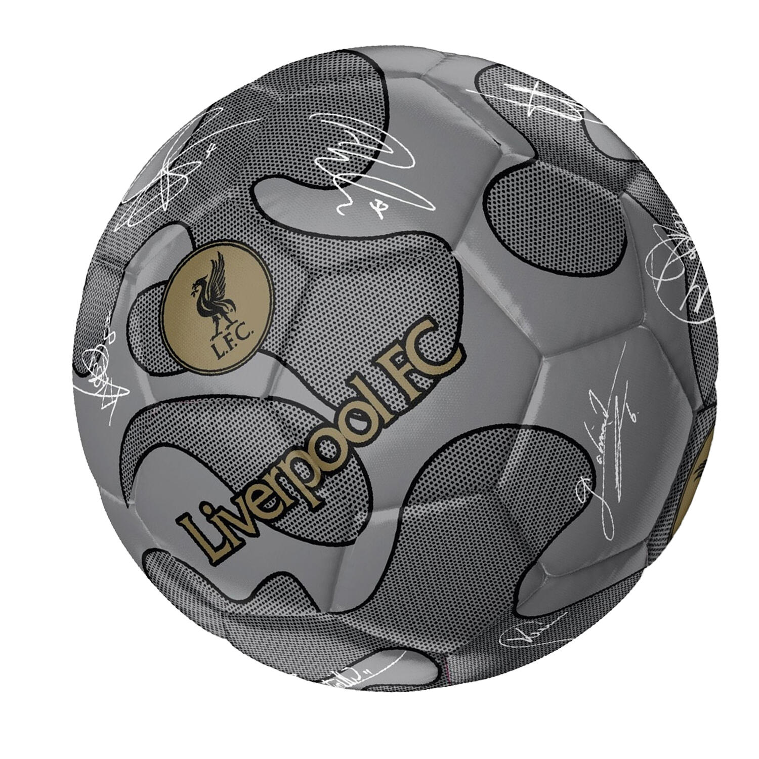 Fußball mit Unterschriften Damen und Herren Silber 2/2