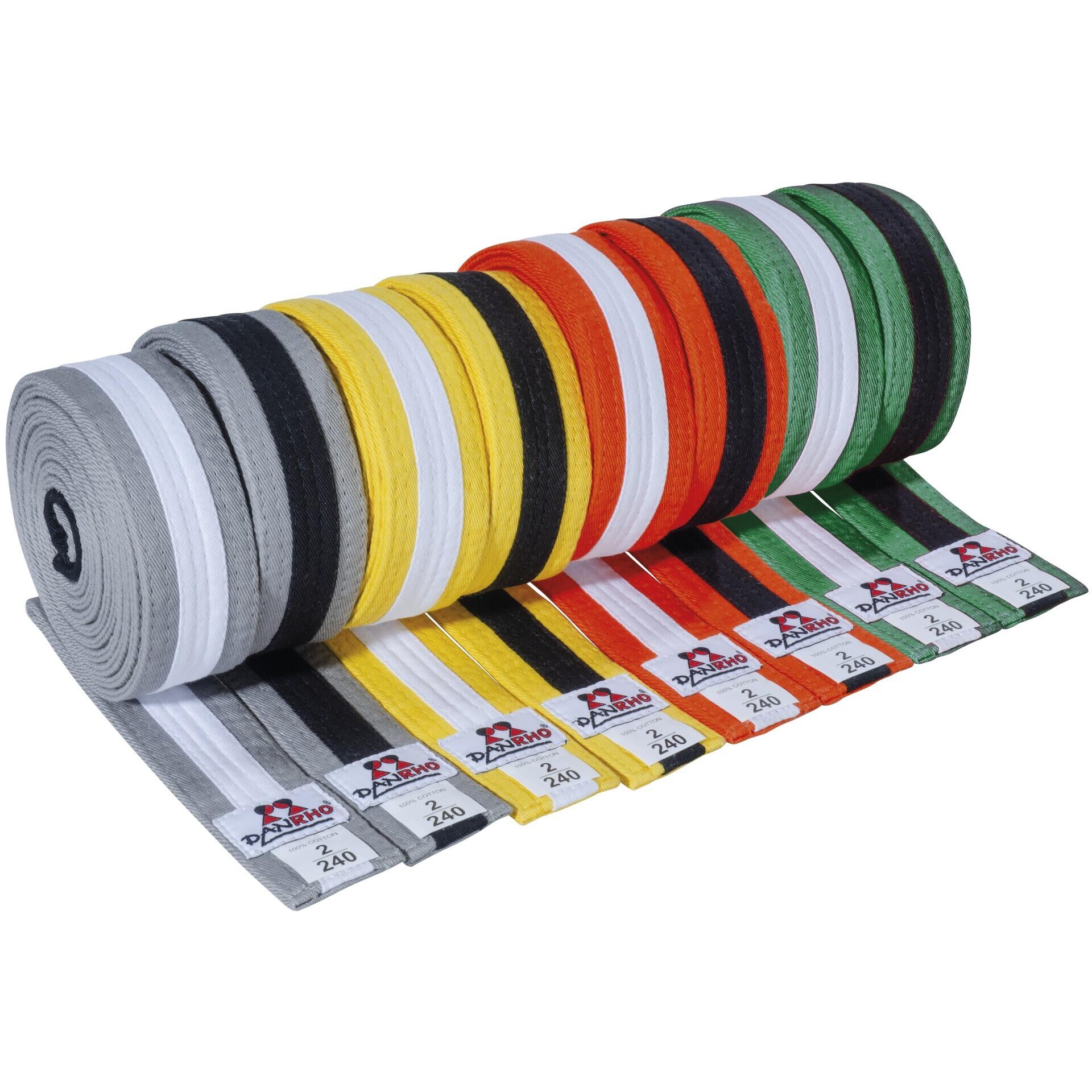 Kinder Jiu-Jitsu Gürtel Danrho 2/2