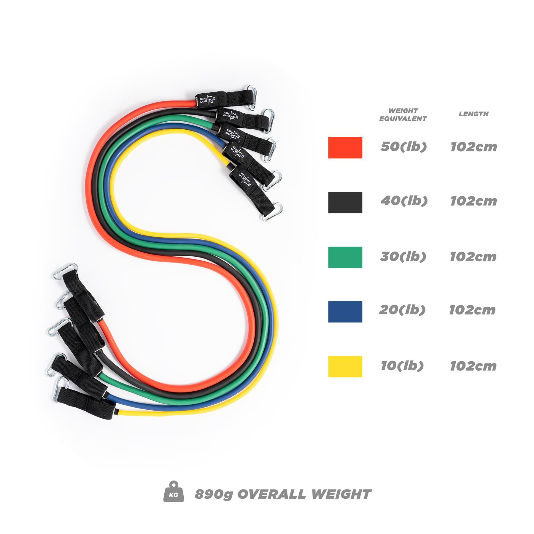 Phoenix Fitness Resistance Bands - Bright 5/6