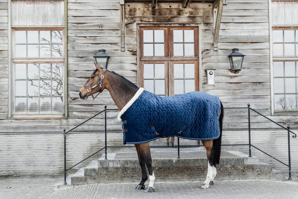 Coperta da stalla in velluto Kentucky 160g 5/5