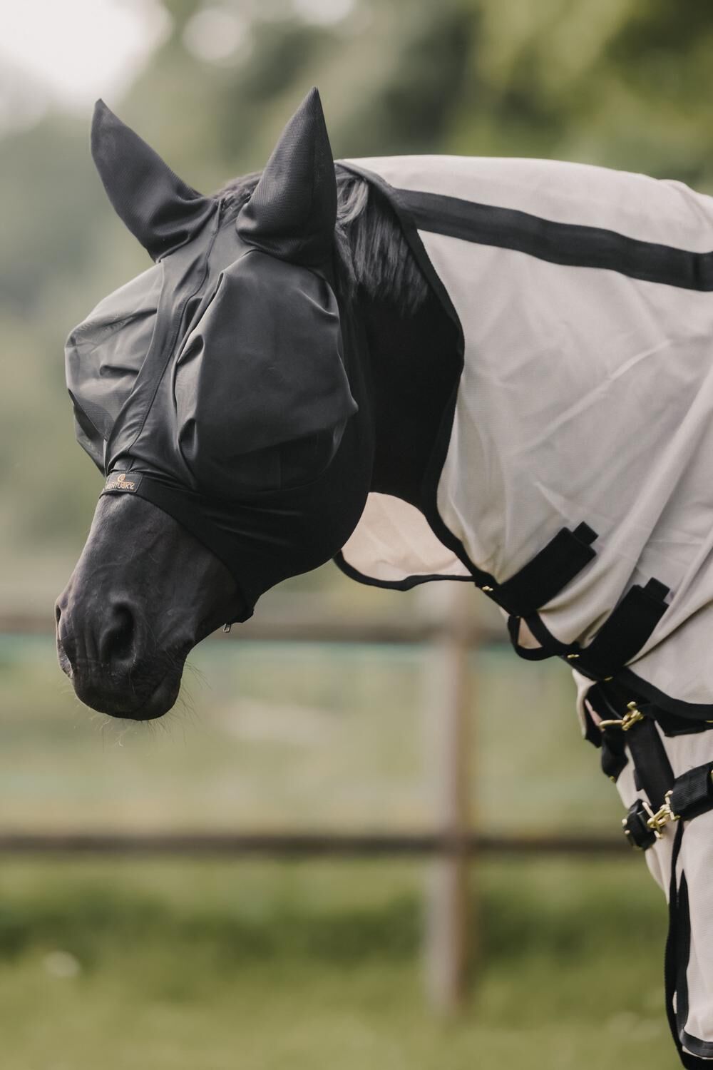 Masque Anti Mouche Cheval Harrison Howard - Masque Anti Masque Anti Mouche Cheval Harrison Howard - Masque Anti