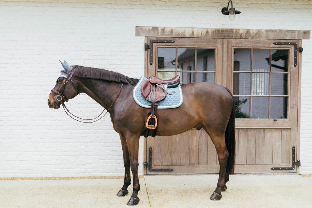Zadeldoek met gevlochten koord jumping licht blauw - FULL 4/4