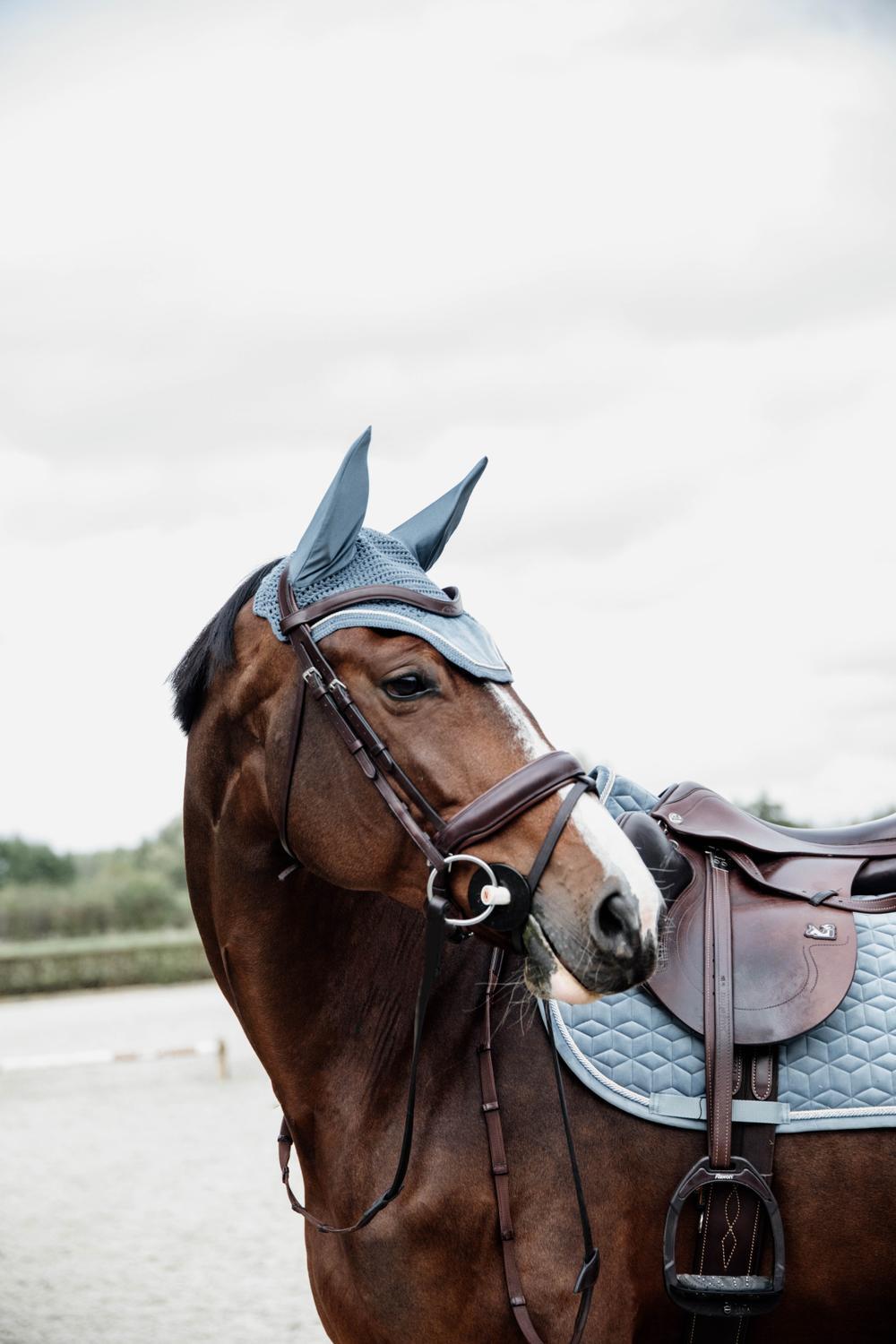 Bonnet anti-mouche Wellington velvet bleu clair cob 3/4