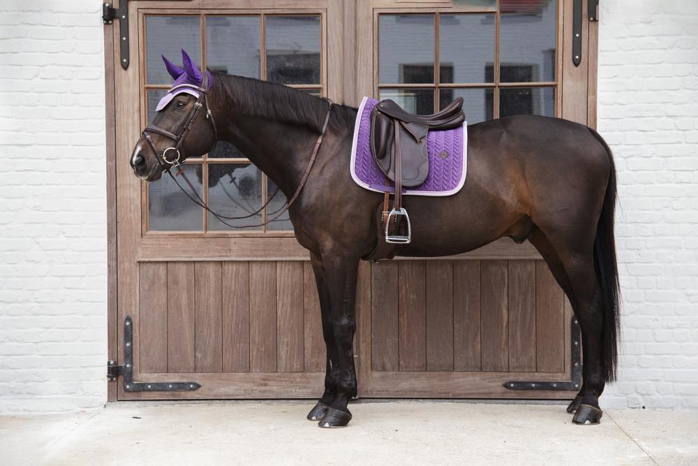 Bonnet anti-mouche Wellington velvet contrast royal purple 2/4
