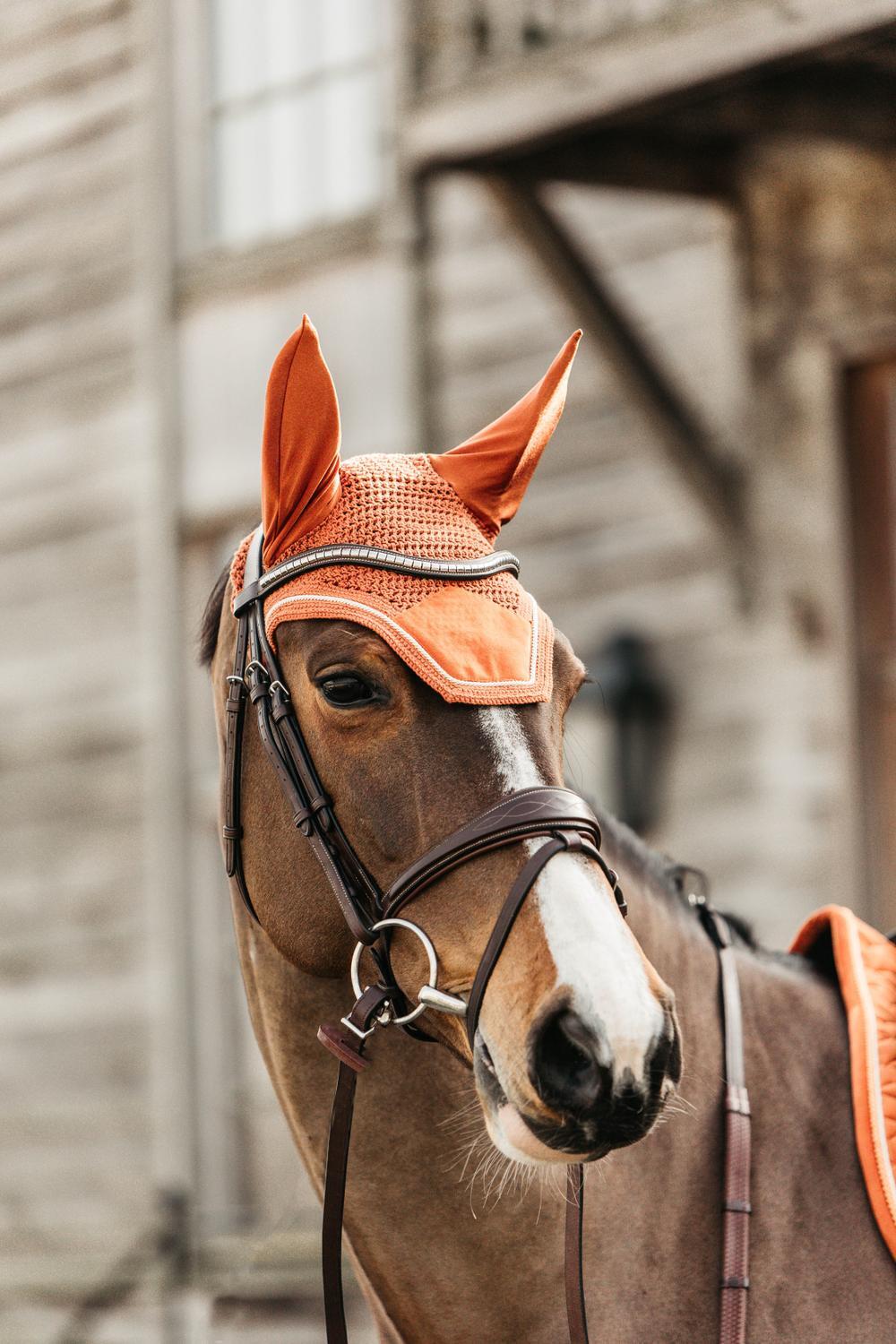 Bonnet anti-mouche Wellington velvet orange cob 3/5
