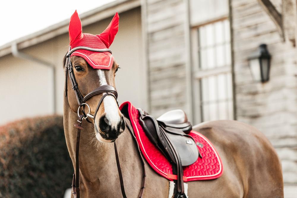 Bonnet anti-mouche Wellington velvet rouge pony 2/4