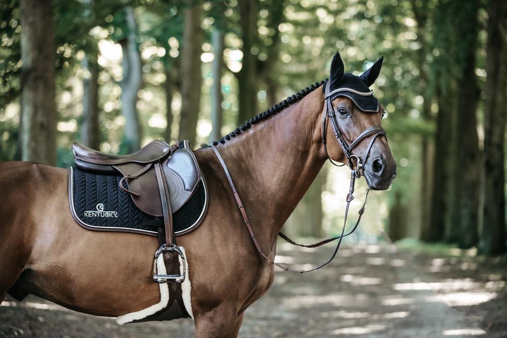 Cwell Equine Tappeto In Pile Per Cavalli Shetland E Pony - 240g/m², Verde, Con Fibbie E Imbottitura