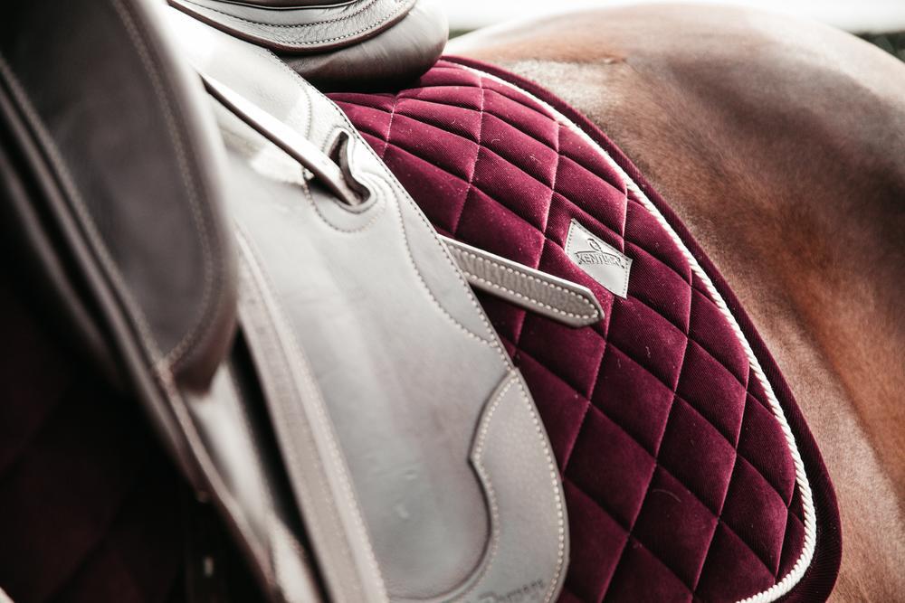 Tapis de selle FULL - Bordeaux - Dressage 4/5