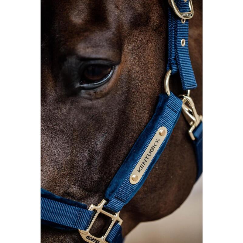 Kentucky Velvet Halster Blauw -