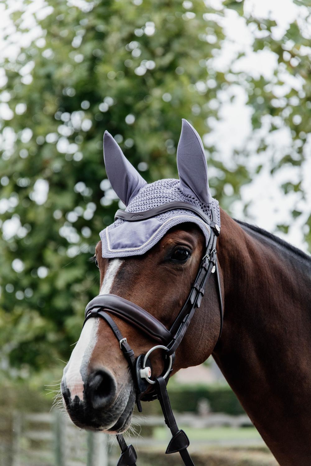 Wellington Oornetje - Velvet - Paars - Voor Paard 3/5