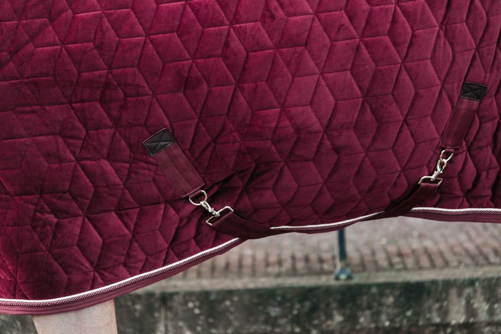 Coperta di presentazione per cavalli Kentucky Velvet 160 g 5/5