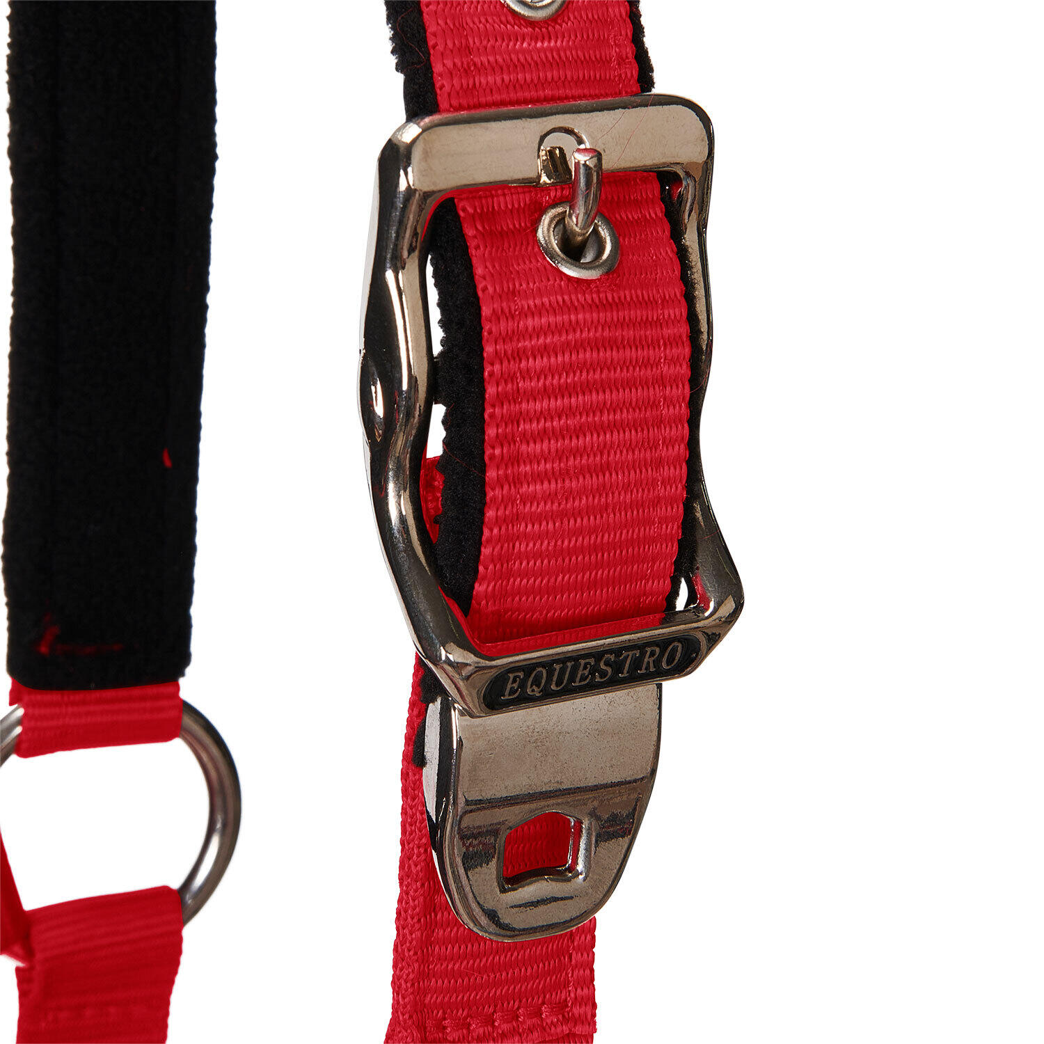 Licol pour cheval avec longueur Equestro Modello Shiny Fittings 3/7