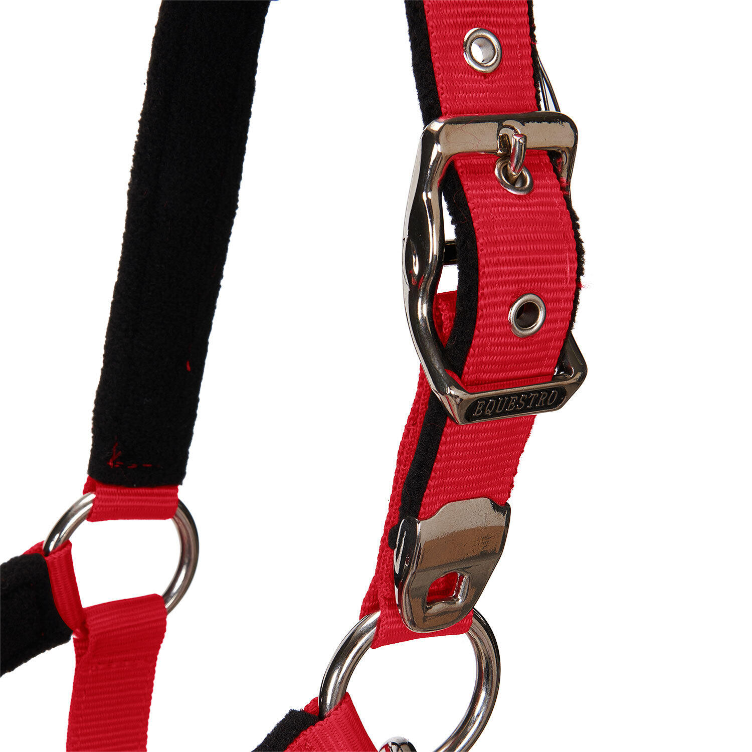 Licol pour cheval avec longueur Equestro Modello Shiny Fittings 5/7