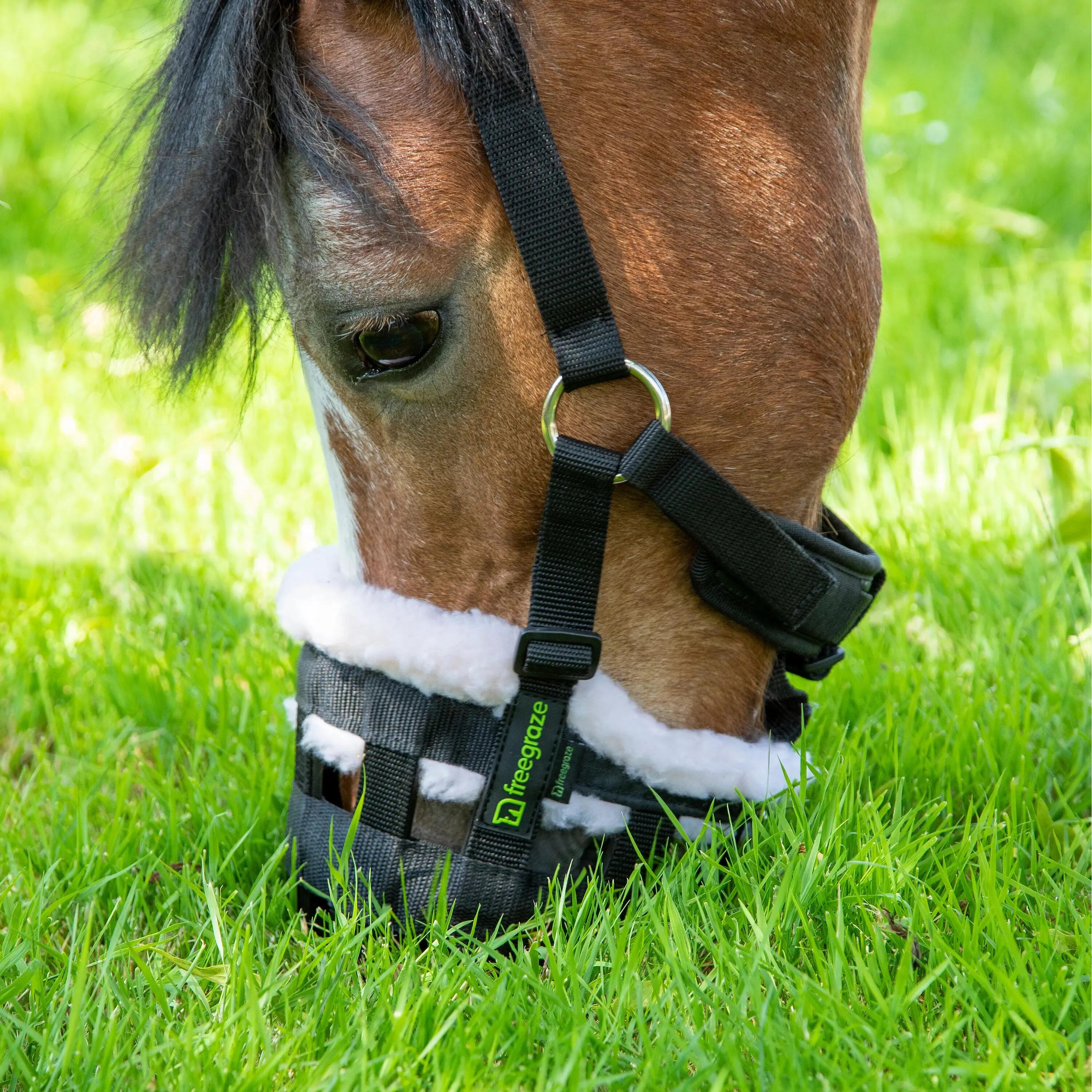 Muselière pour cheval Shires FreeGraze Deluxe Comfort 4/7