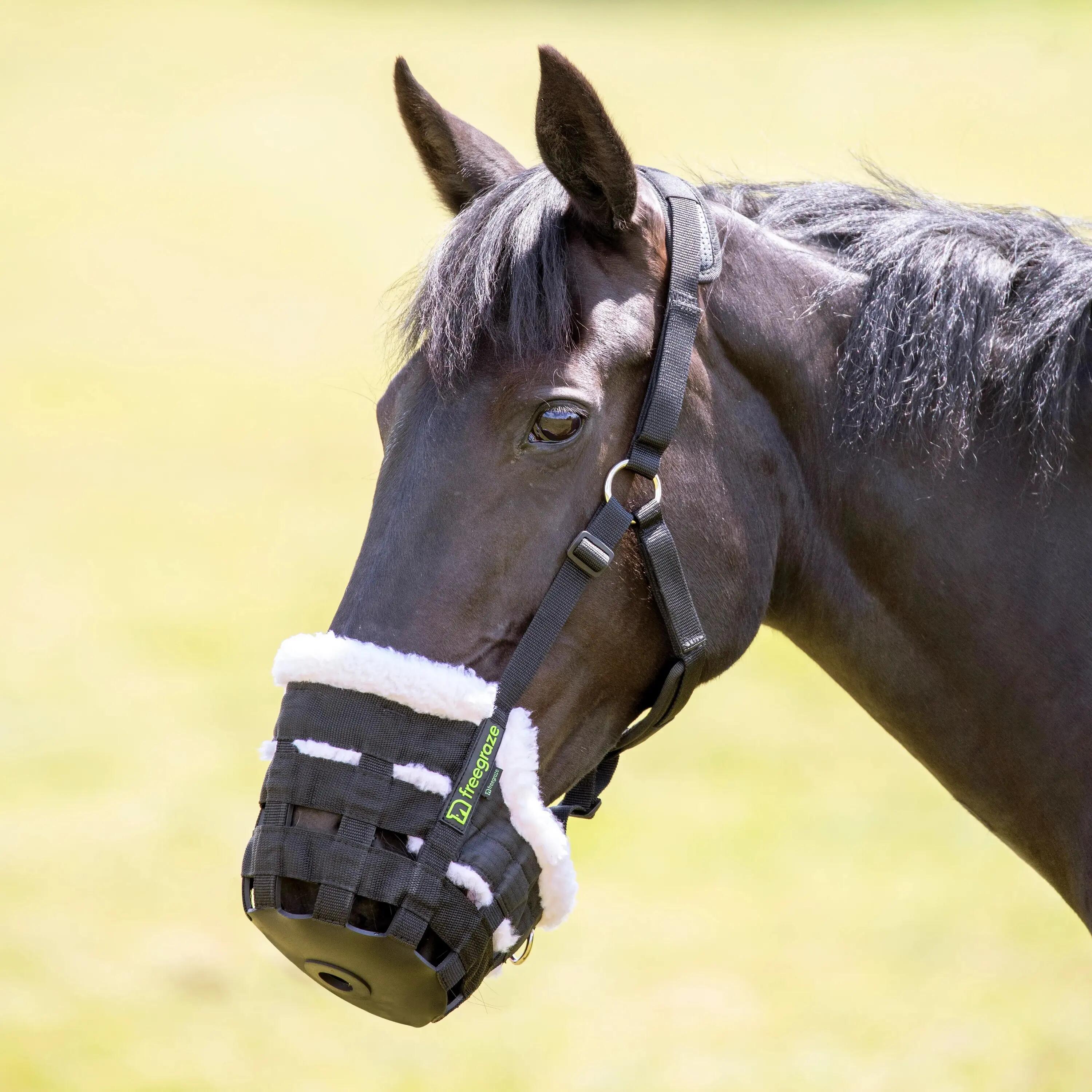 Muselière pour cheval Shires FreeGraze Deluxe Comfort 2/7