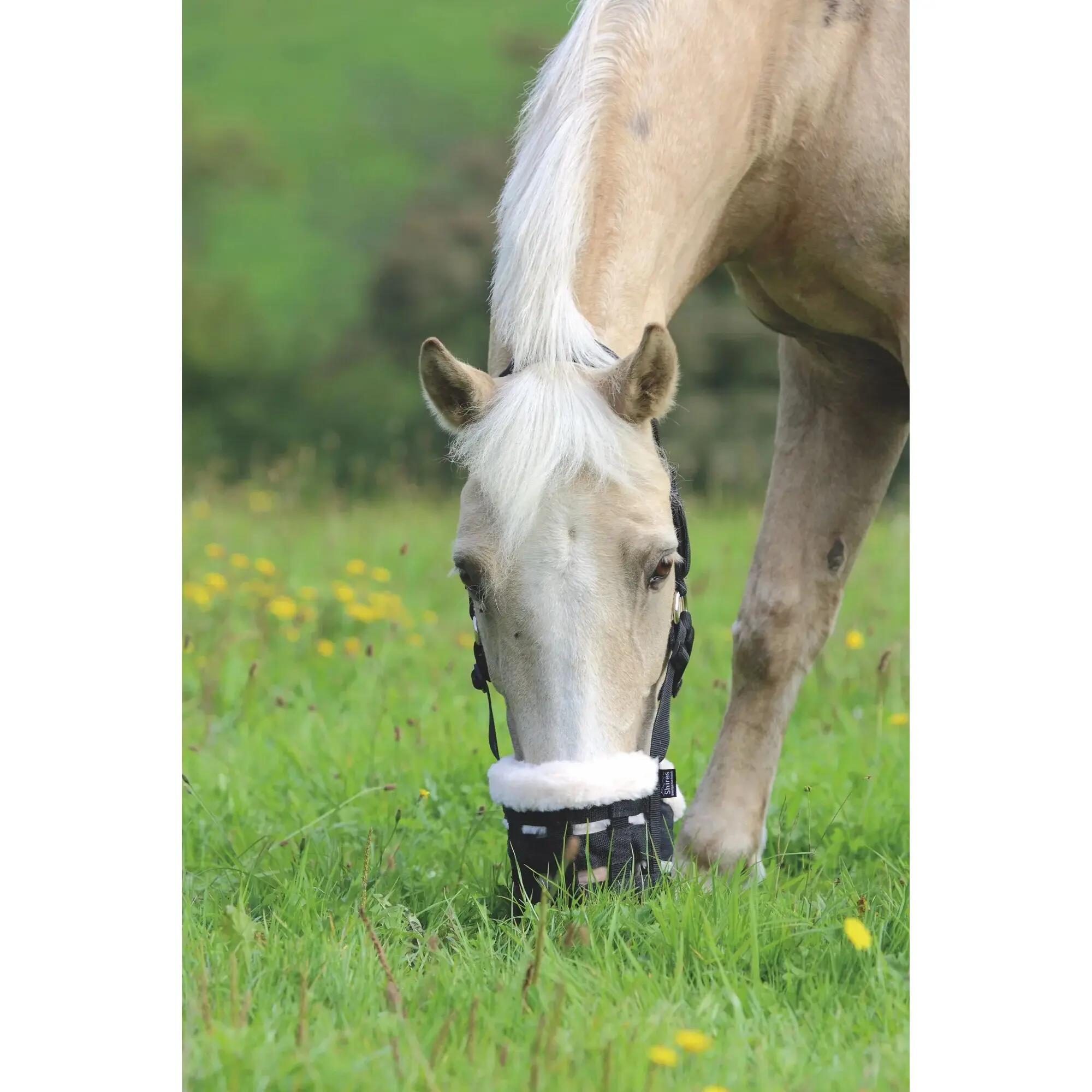Muselière pour cheval Shires FreeGraze Deluxe Comfort 3/7