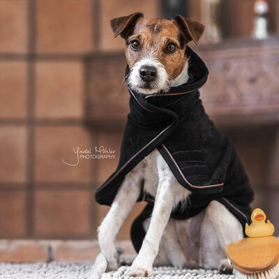 Kentucky Hundemantel Handtuch