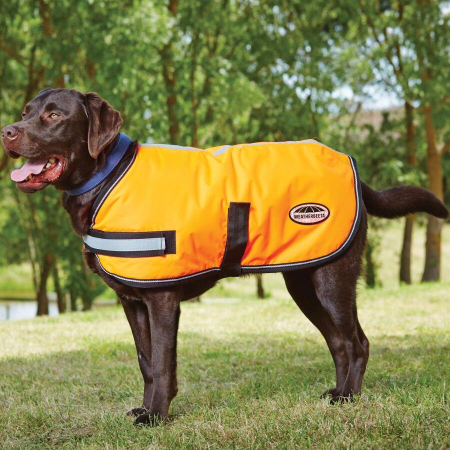 Cappottino fluorescente per cani Weatherbeeta Comfitec Parka 300D 5/5