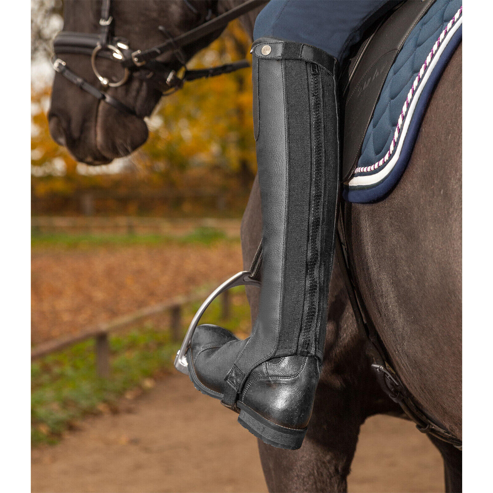 Mini-chaps en cuir ELT Exclusive 3/3