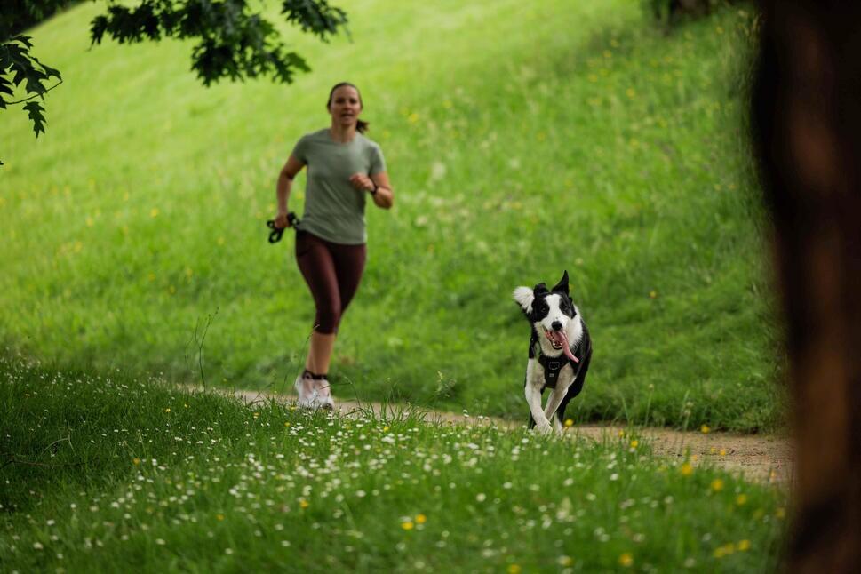 Sport et complicité : un weekend unique à vivre avec votre chien 1/1