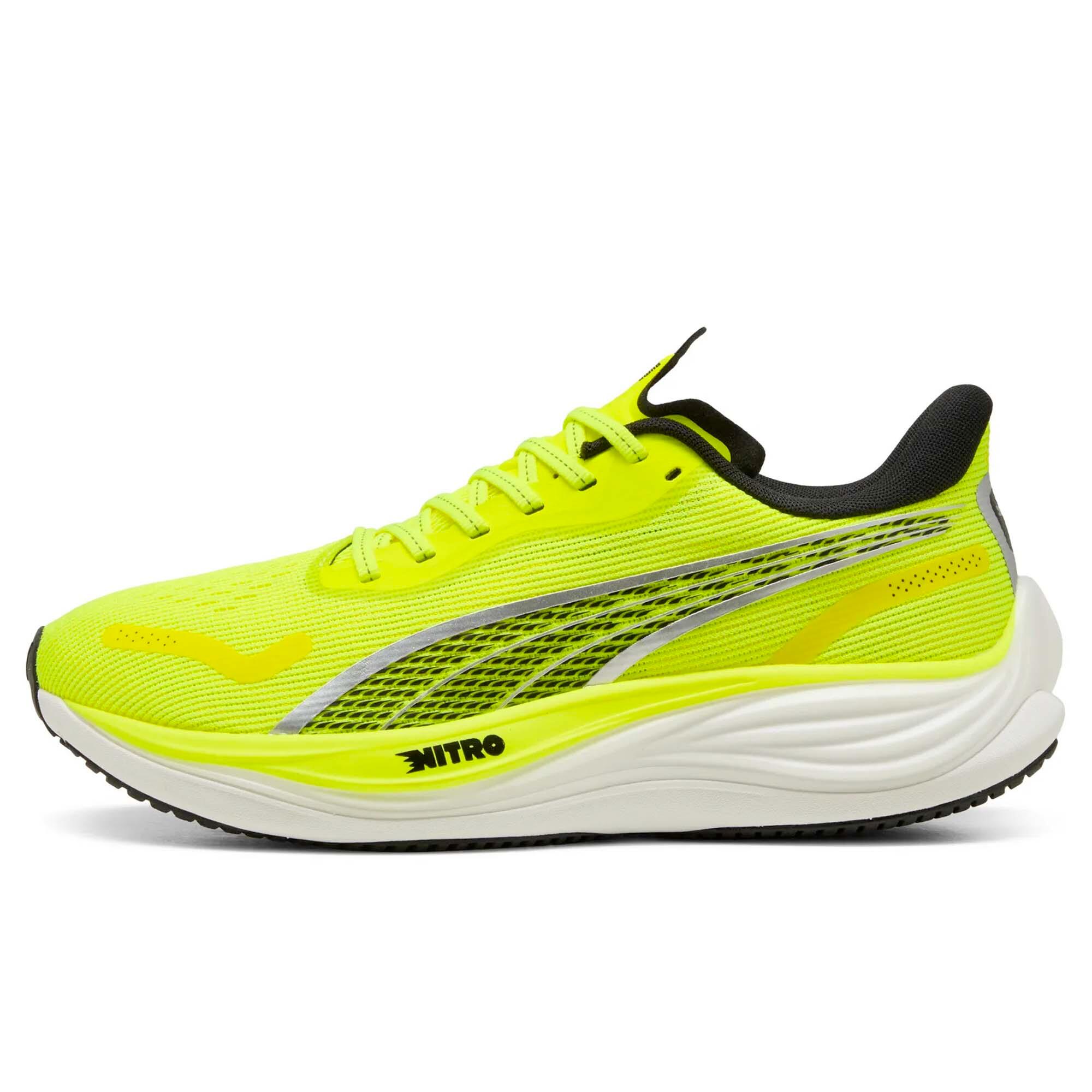 PUMA picture