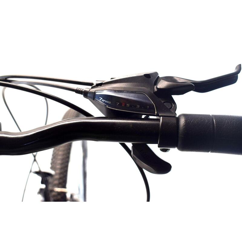 Rower Dallas MTB 29" 21spd