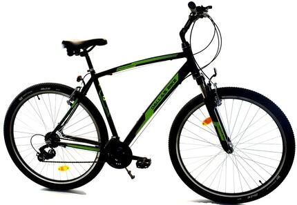 Rower Dallas MTB 29" 21spd