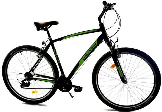 Rower Dallas MTB 29" 21spd