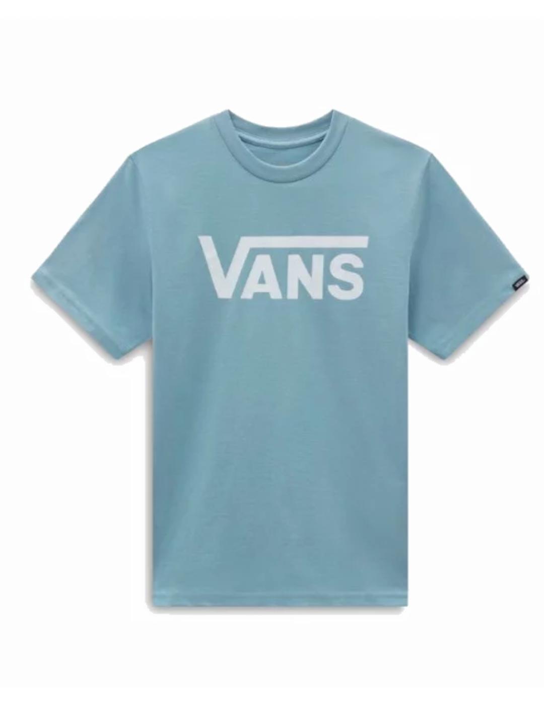 VANS picture