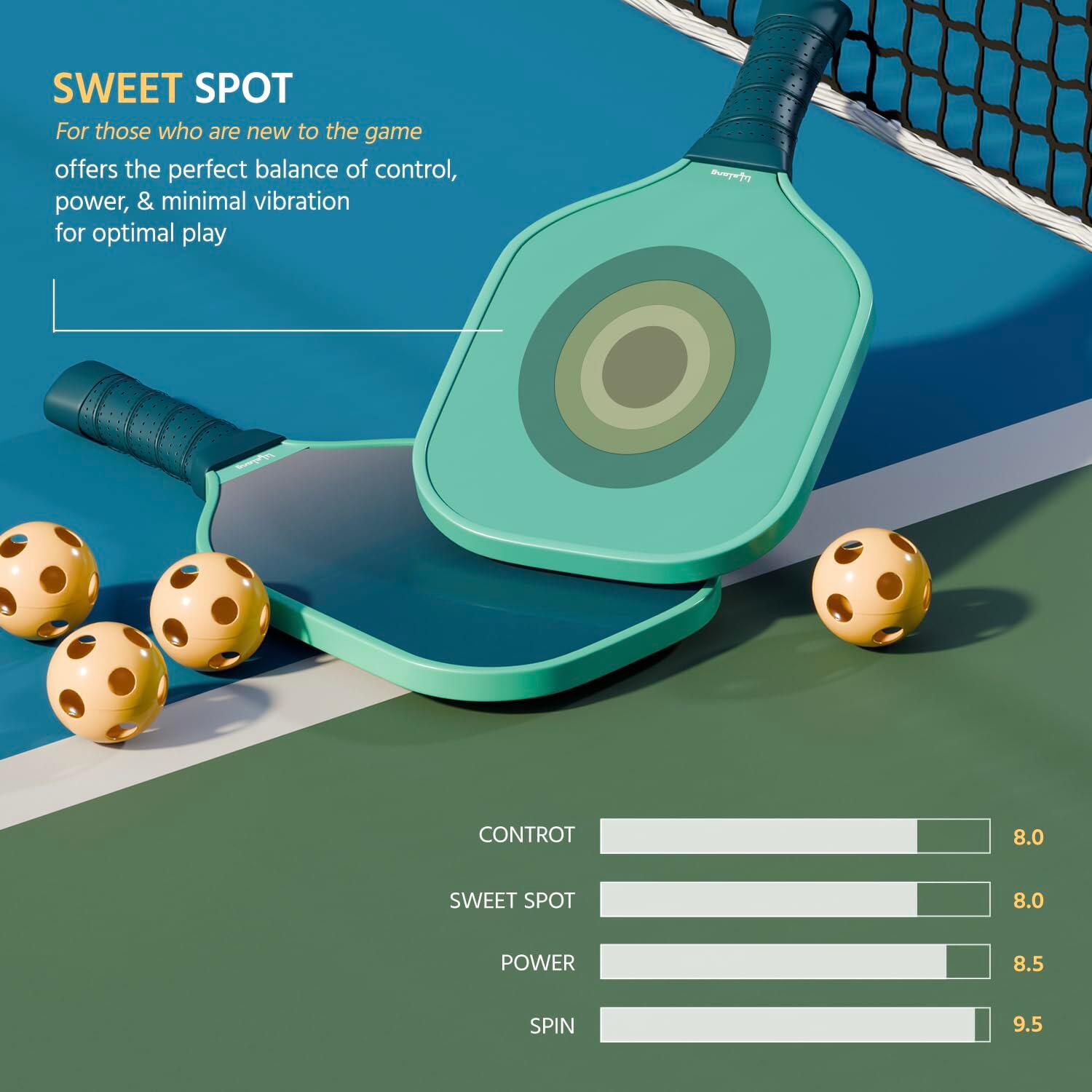 Lifelong Pickleball Paddle Set, 2 Rackets, 4 Pickle Balls and Paddle Bag Cover