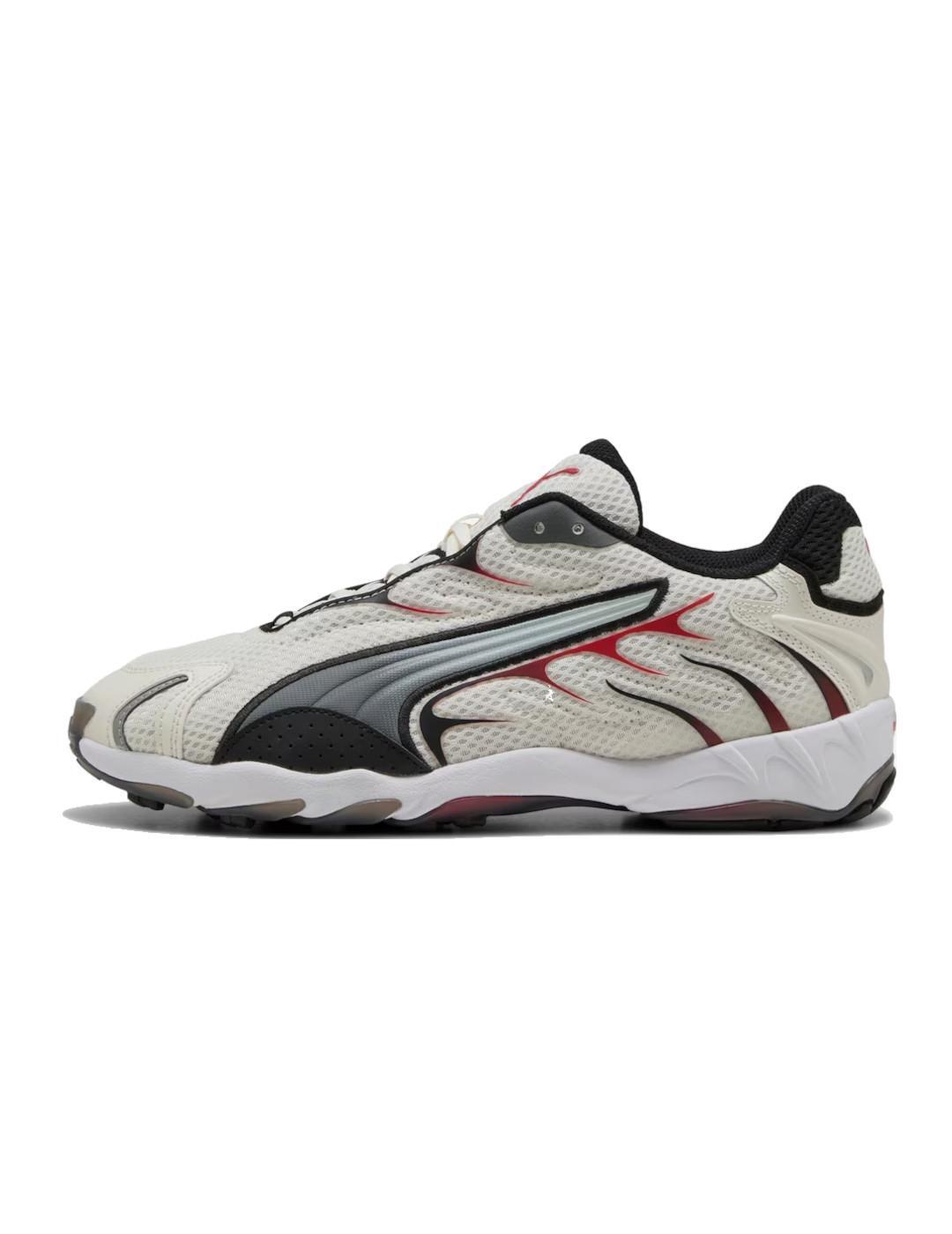 PUMA picture