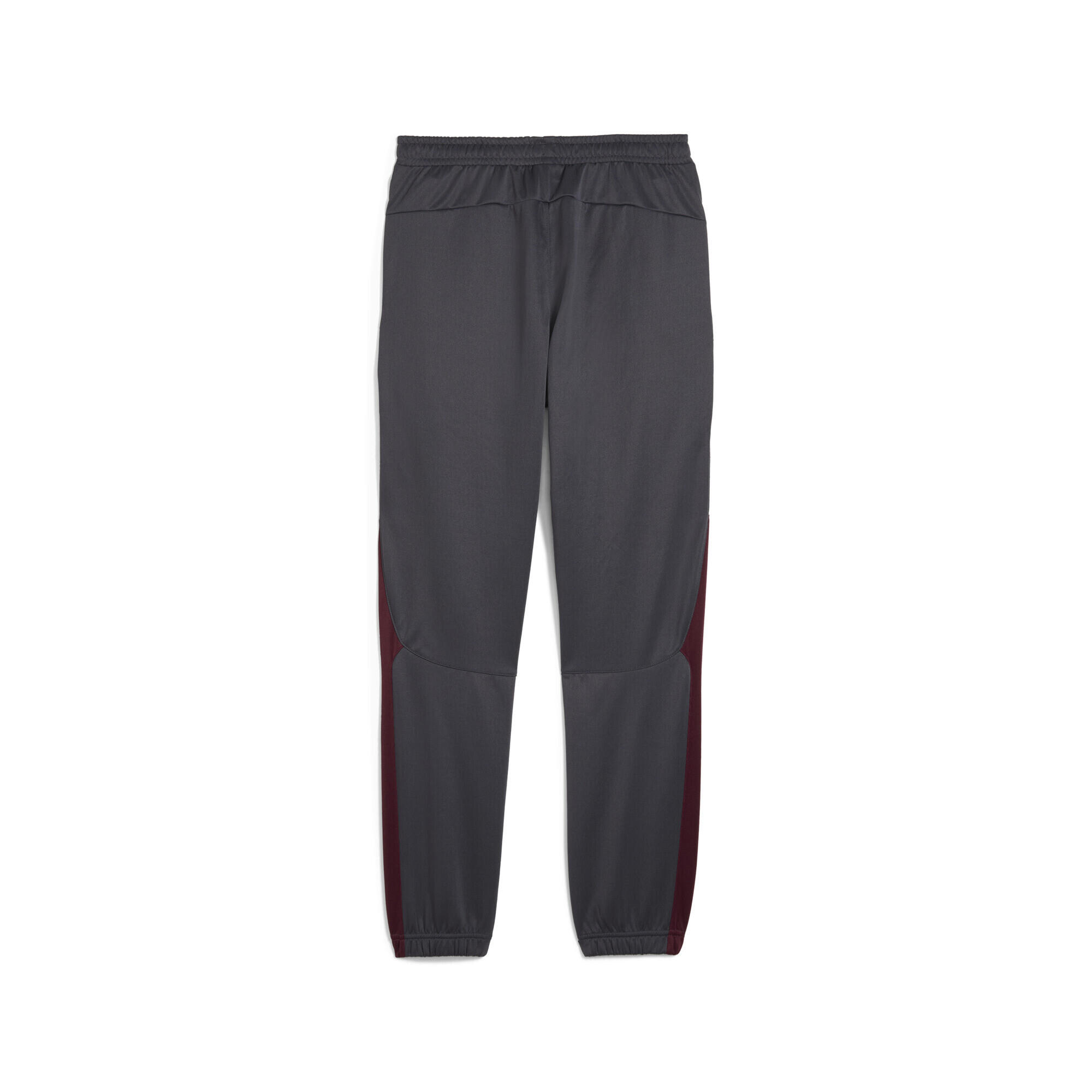 Pantaloni Manchester City ftblNRGY+ da uomo PUMA 7/7