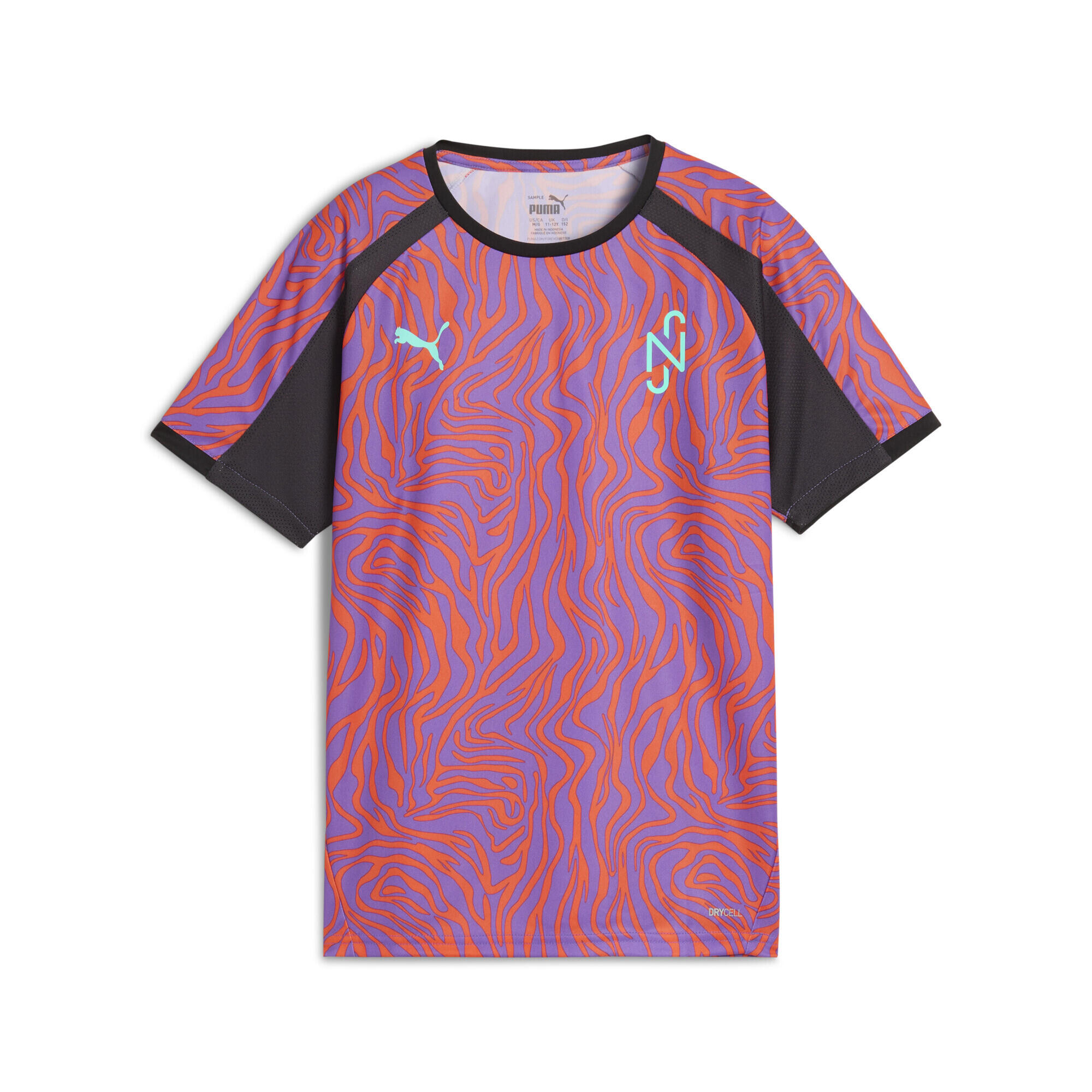 PUMA picture
