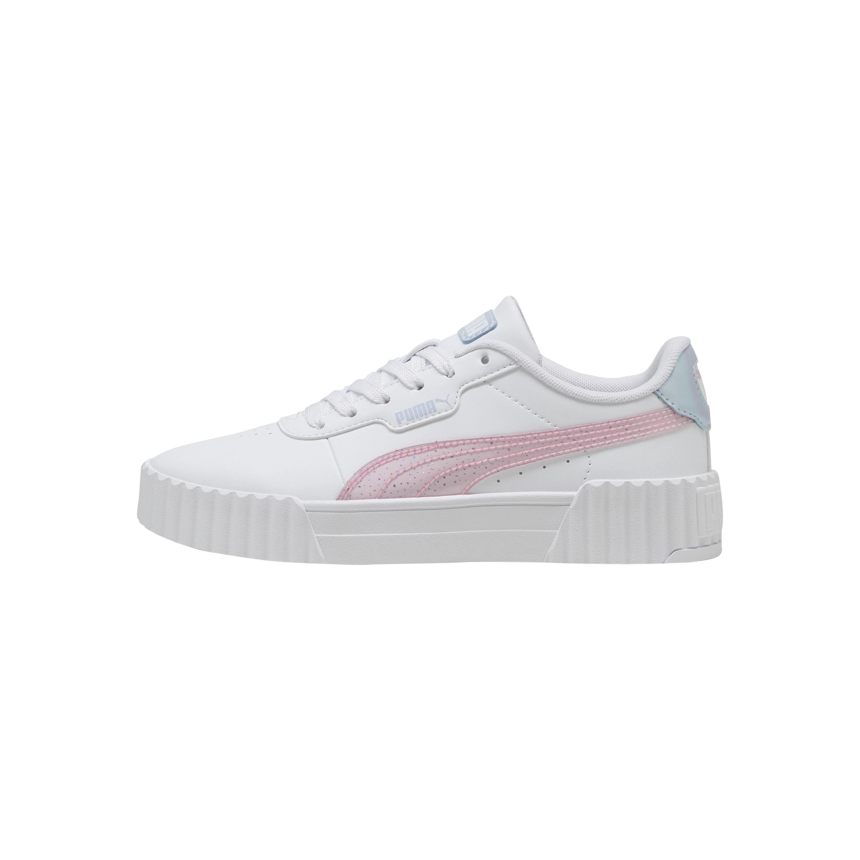 PUMA picture