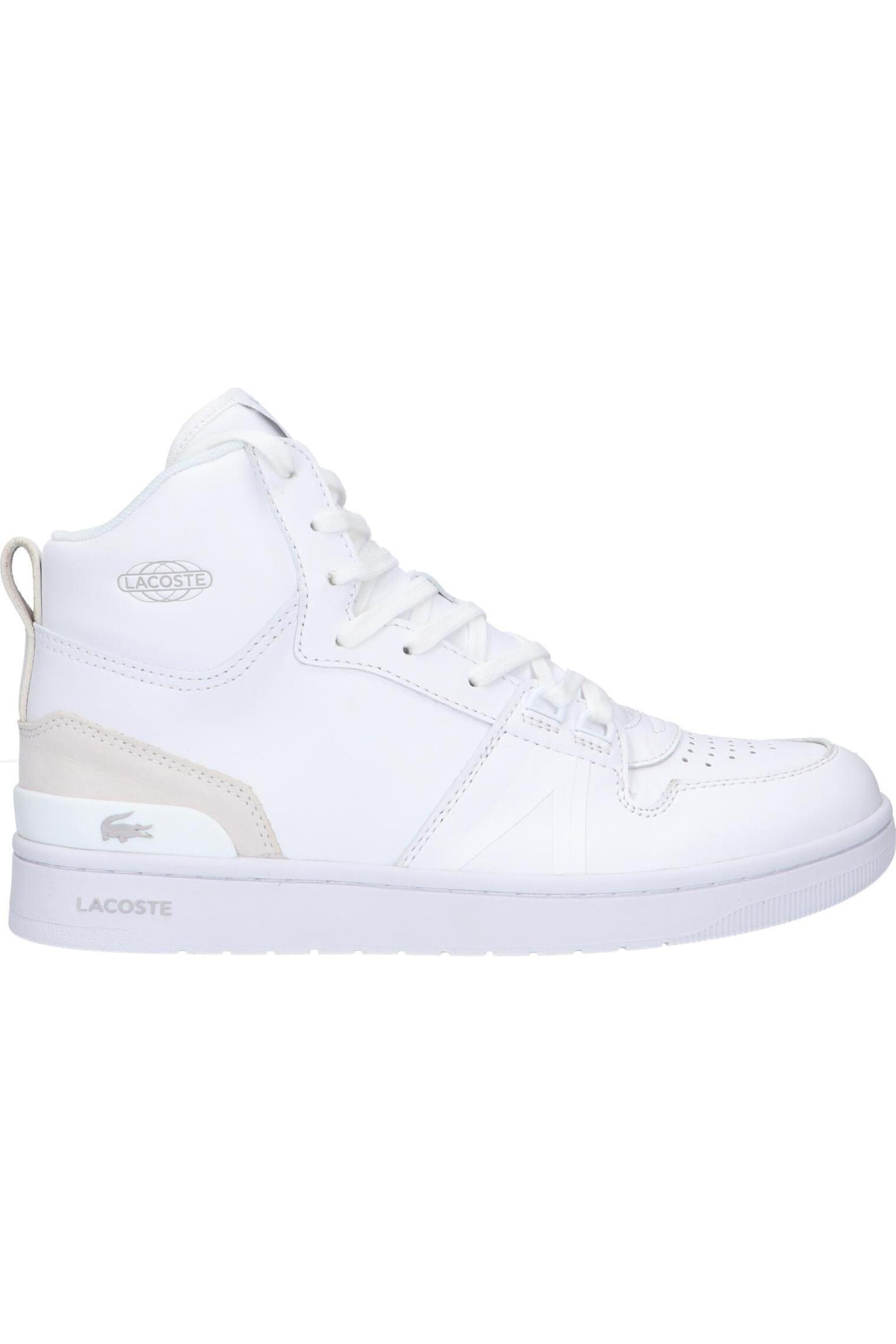 LACOSTE picture