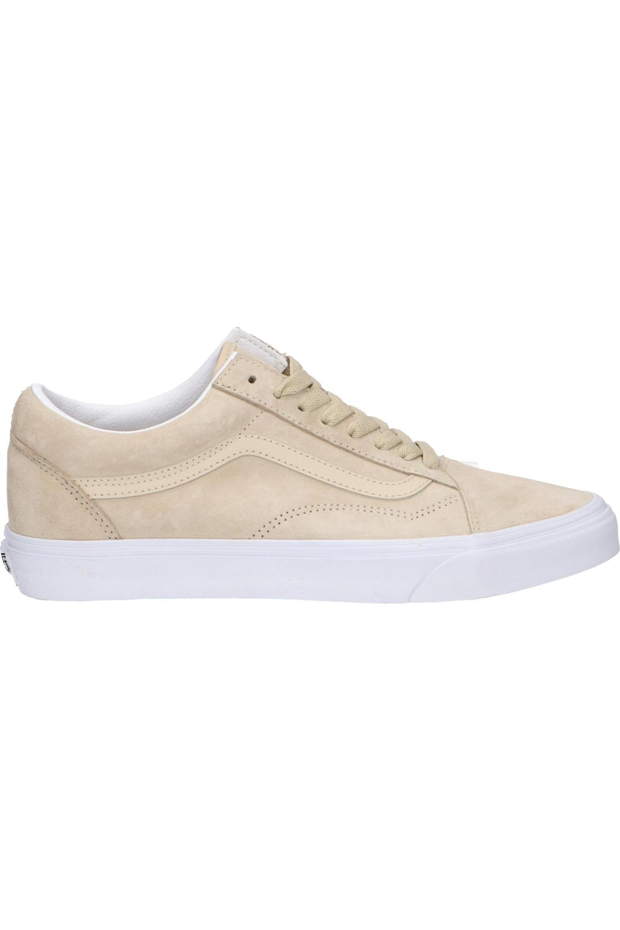 VANS picture