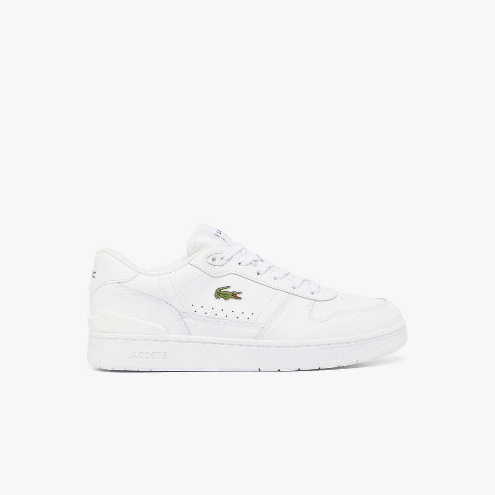 LACOSTE picture