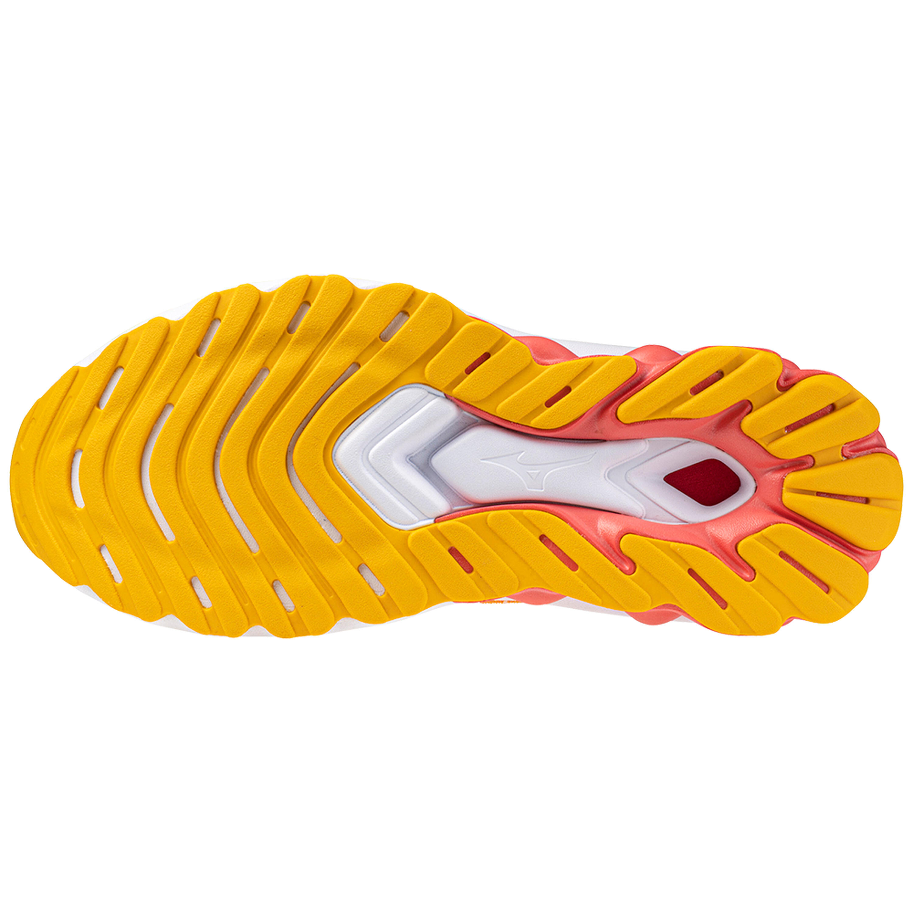 Chaussures de running femme Mizuno Wave Skyrise 5 5/5