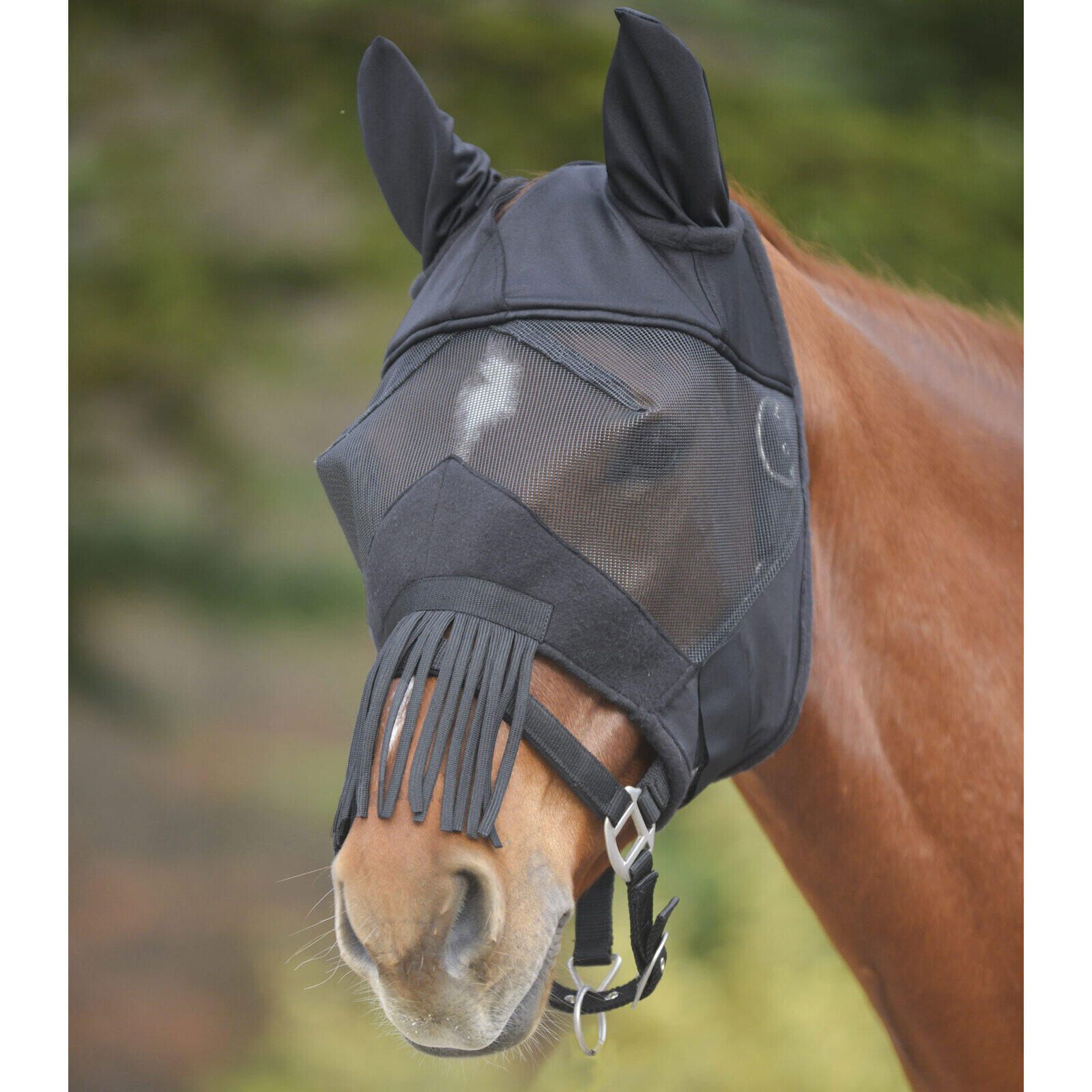 Masque anti-mouches pour cheval avec protection des oreilles et du chanfrein Wal 2/2